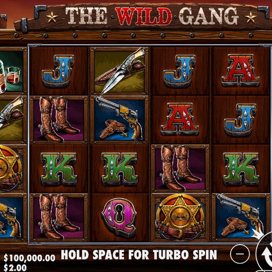The Wild Gang
